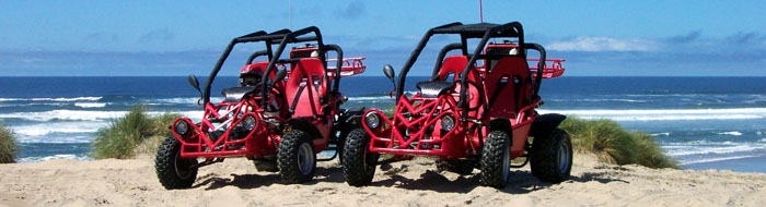 Mini Buggies are a great way to explore the Sandlake Dunes