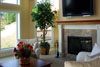 Living Room - TV over the Fireplace