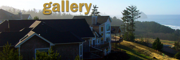 Our Gallery Of Custom Homes
