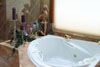 Master Suite Tub and Glassed in Shower