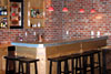 Rec Room with Zinc Wet Bar